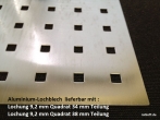 Caddy Seitenverkleidung aus Aluminium - Lochblech - L1 kurz